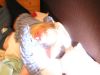 Filename=145.JPG
Filesize=117KB
Dimensions=800x600
Date added=Feb 23, 2006 145.JPG