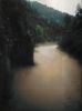 Filename=001.jpg
Filesize=84KB
Dimensions=595x796
Date added=Feb 23, 2006 001.jpg