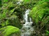 Filename=041.JPG
Filesize=262KB
Dimensions=800x600
Date added=Feb 23, 2006 041.JPG