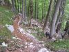 Filename=057.JPG
Filesize=256KB
Dimensions=800x600
Date added=Feb 23, 2006 057.JPG