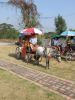 Filename=10~4.JPG
Filesize=209KB
Dimensions=768x1024
Date added=Jan 27, 2009 10~4.JPG