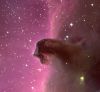 Filename=The_Horsehead_Nebula_(big).jpg
Filesize=109KB
Dimensions=800x738
Date added=Mar 01, 2006 The_Horsehead_Nebula_(big).jpg