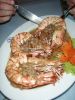 Filename=jid.JPG
Filesize=100KB
Dimensions=768x1024
Date added=Mar 06, 2008 jid.JPG