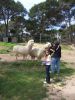 Filename=zoo3.JPG
Filesize=141KB
Dimensions=600x800
Date added=May 02, 2010 zoo3.JPG